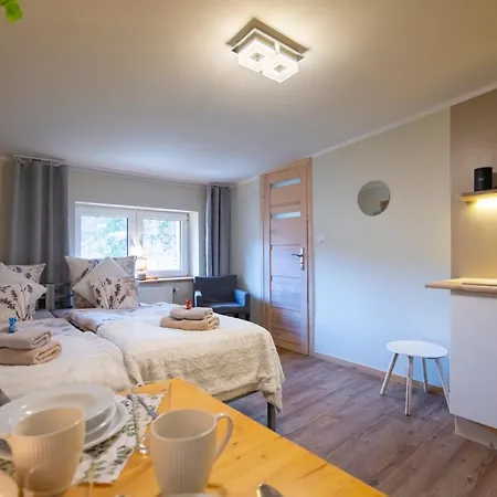 Zaciszne Centrum Apartment