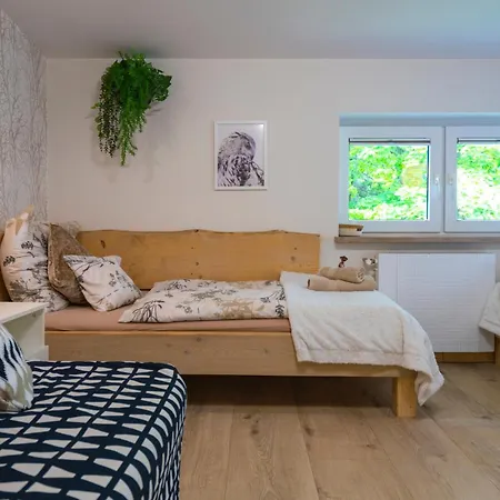Zaciszne Centrum Apartment *