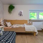 Zaciszne Centrum Appartement *
