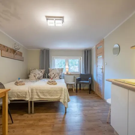 Zaciszne Centrum Апартаменты *