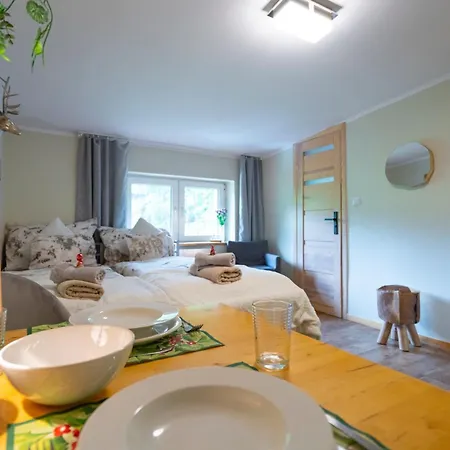 Апартаменты Zaciszne Centrum