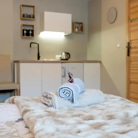 Zaciszne Centrum Апартаменты *