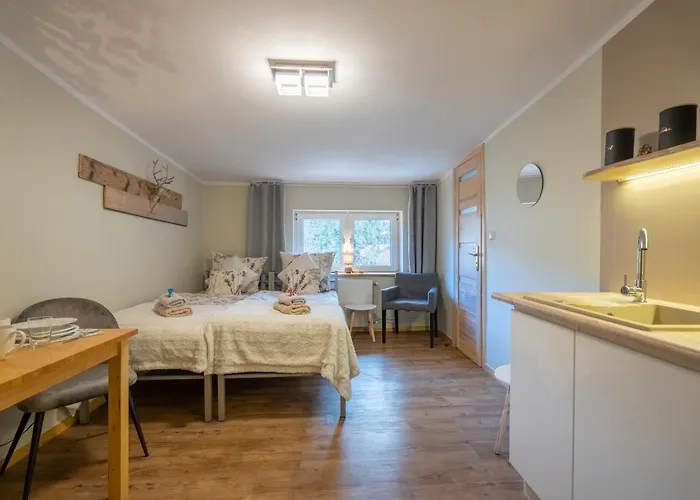 Zaciszne Centrum Apartment *