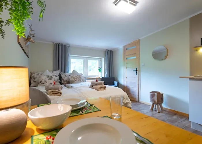 Apartment Zaciszne Centrum