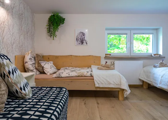 Zaciszne Centrum Apartment *